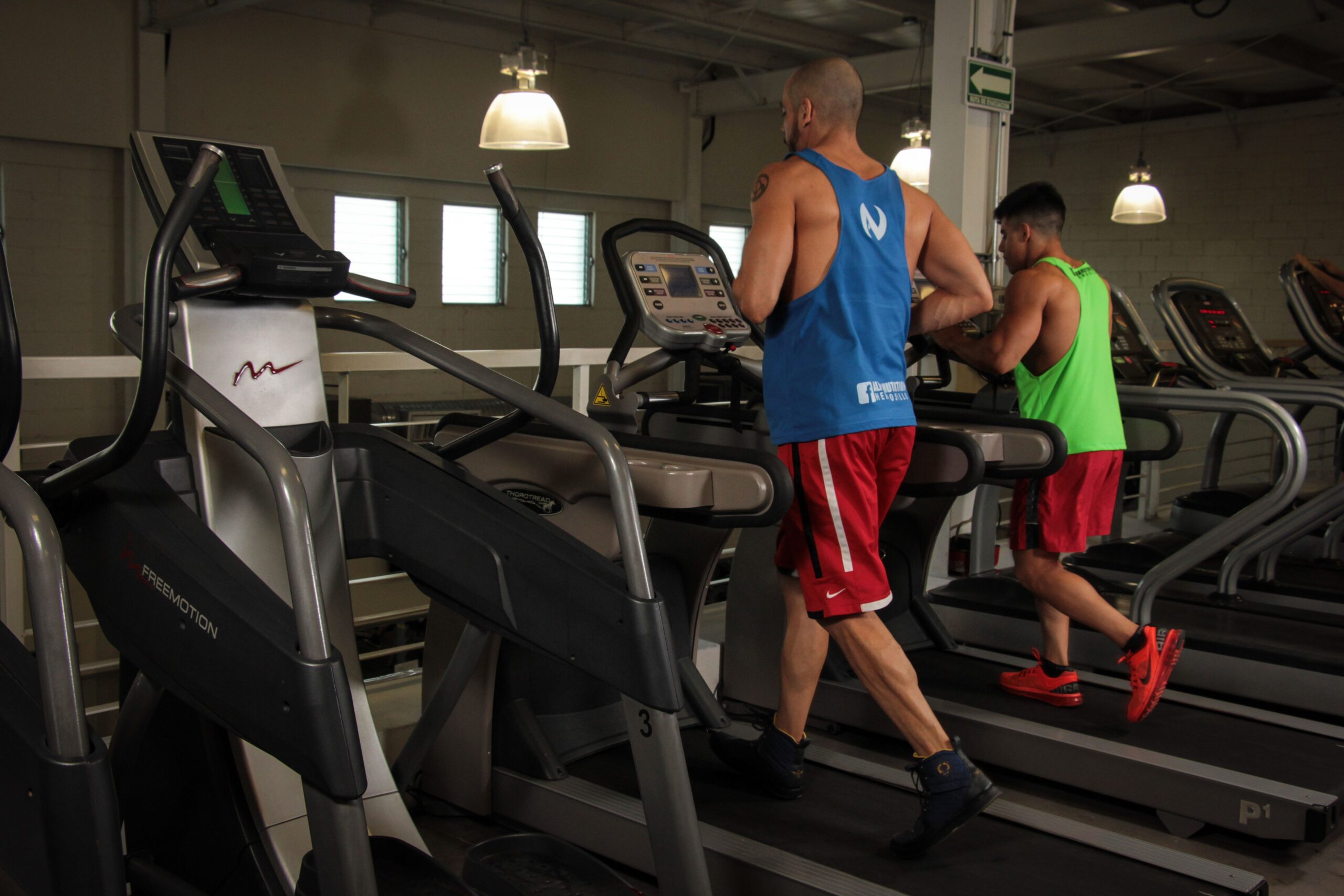 Melhor cardio para iniciantes na academia
